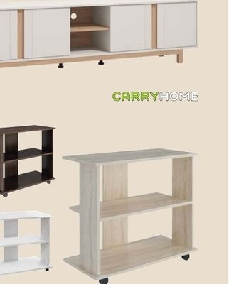 CARRYHOME ТВ МАСА
