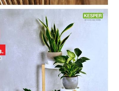 KESPER ЦВЕТАРНИК 4 НИВА