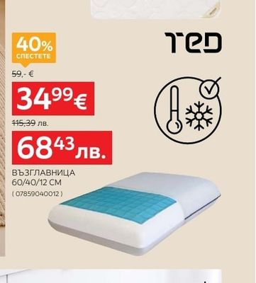 TED ВЪЗГЛАВНИЦА 60/40/12 CM