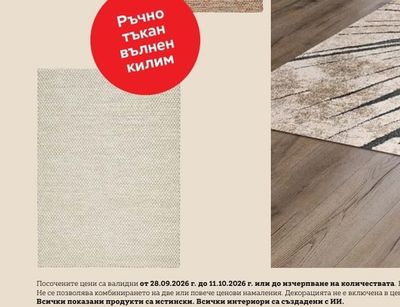BEST CHOICE TOP PRICE BOXXX РЪЧНО ТЪКАН ВЪЛНЕН КИЛИМ