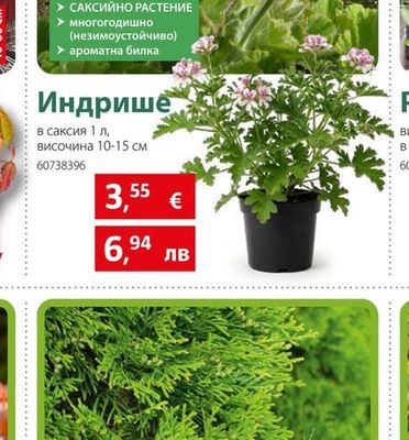 Индрише