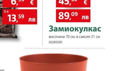 Саксия Plana Melrose Esprit