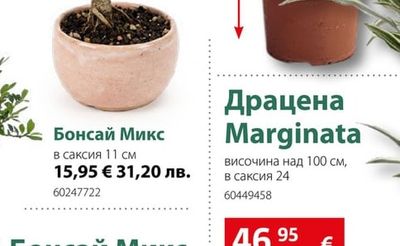 Бонсай Микс