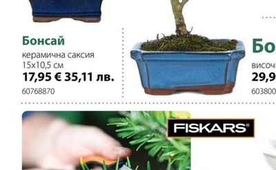 Бонсай