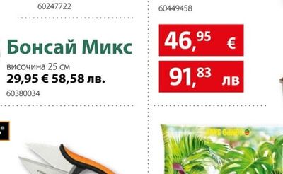 Бонсай Микс