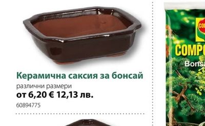 Керамична саксия за бонсай