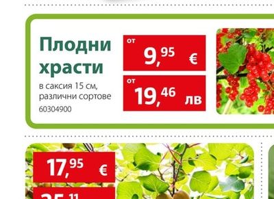 Плодни храсти