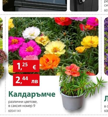 Калдаръмче