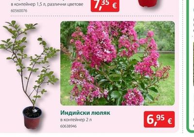 Индийски люляк