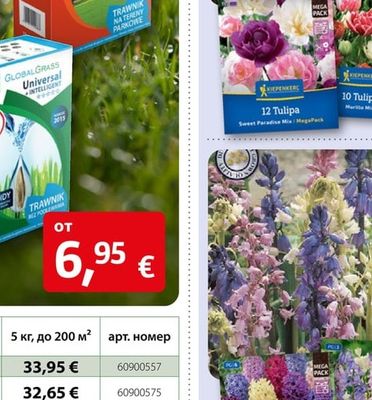 KIEPENKERL Пролетни луковици