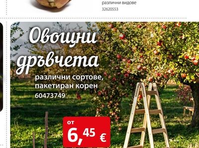 Овощни дръвчета