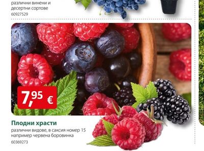 Плодни храсти