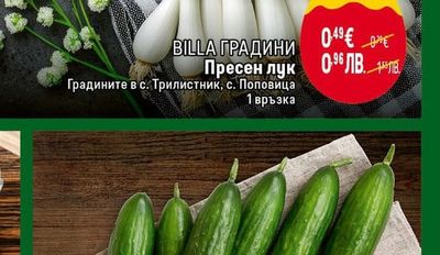 BILLA ГРАДИНИ Пресен лук