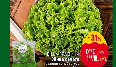BILLA ГРАДИНИ Жива салата