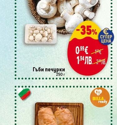 Гъби печурки