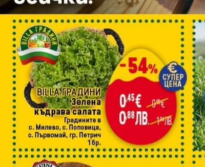 Агнешко месо предна четвърт