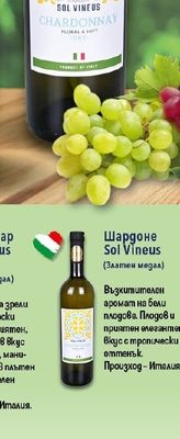Sol Vineus Шардоне Sol Vineus