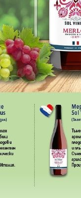 Sol Vineus Мерло Sol Vineus