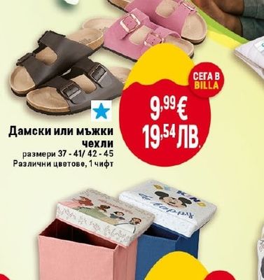 Дамски или мъжки чехли