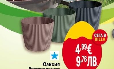 Саксия