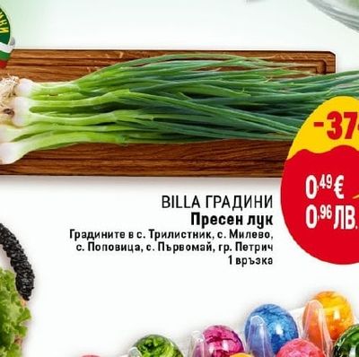 BILLA ГРАДИНИ Пресен лук