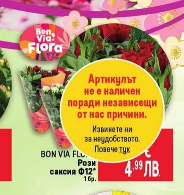 BON VIA FLU Рози
