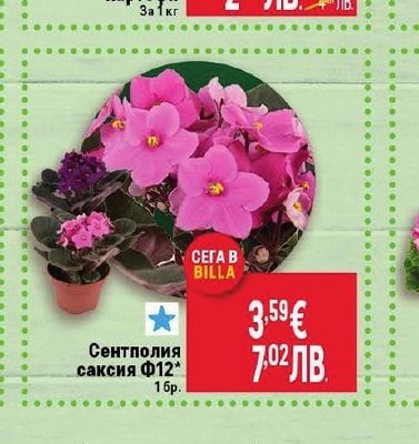 Сладки картофи
