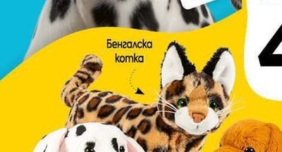 Далматинец