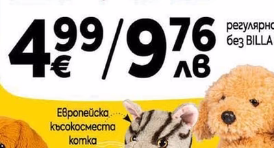 Бенгалска komka