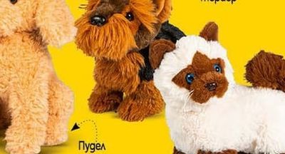 Йоркширски mepuep