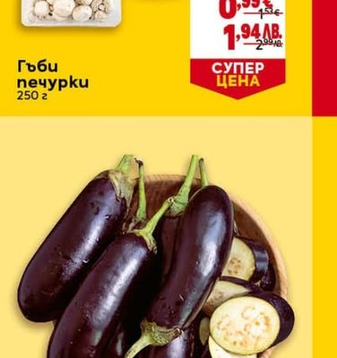 Гъби печурки