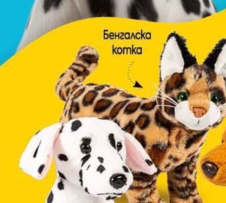Бенгалска komka