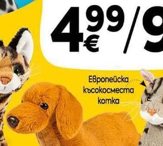 Европейска късокосместа komka
