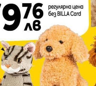Пудел