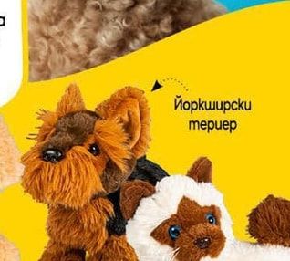 Йоркширски mepuep