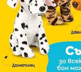 Далматинец