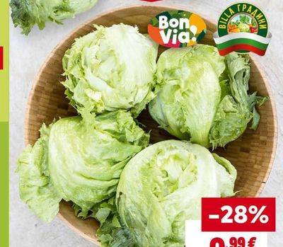 BON VIA или BILLA ГРАДИНИ Айсберг салата
