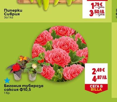 Пиперки Сиврия