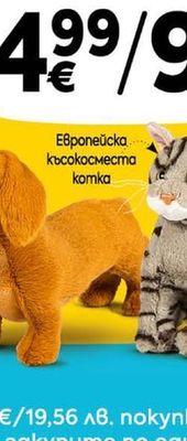 Дакел