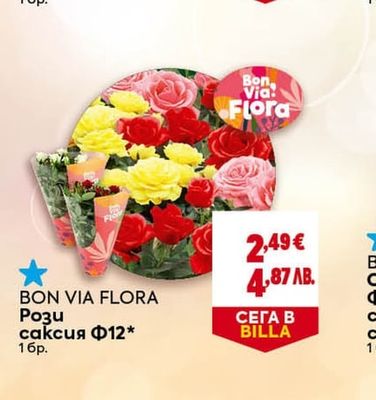 BON VIA FLORA Рози саксия Ф12*
