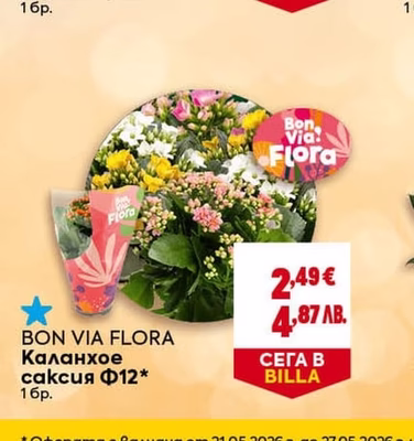 BON VIA FLORA Каланхое саксия Ф12*