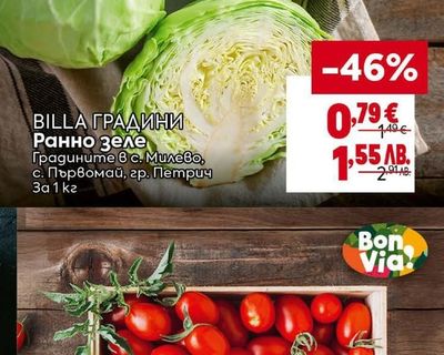 BILLA ГРАДИНИ Ранно зеле
