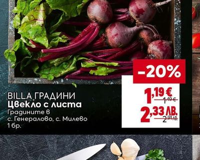 BILLA ГРАДИНИ Цвекло с листа