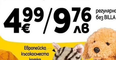 Бенгалска котка