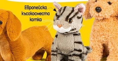 Пудел