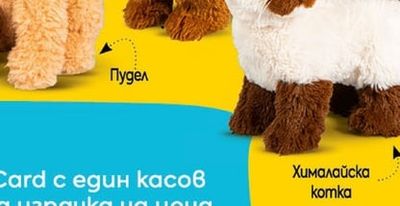 Хималайска котка