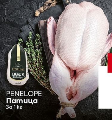 PENELOPE Патица