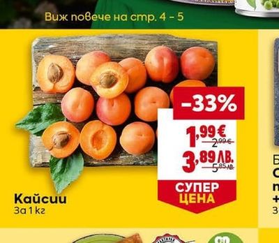 Кайсии