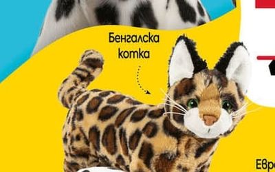 Бенгалска komka