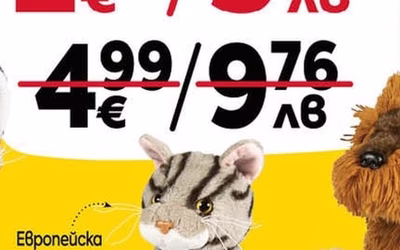 Европейска късокосместа komka